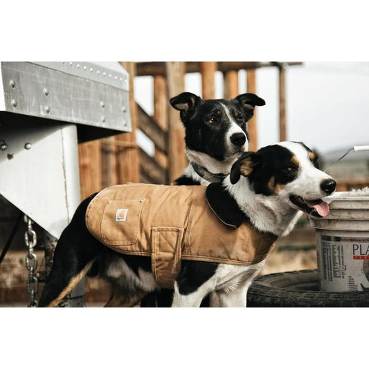 Carhartt Firm Duck Insulated Dog Chore Coat